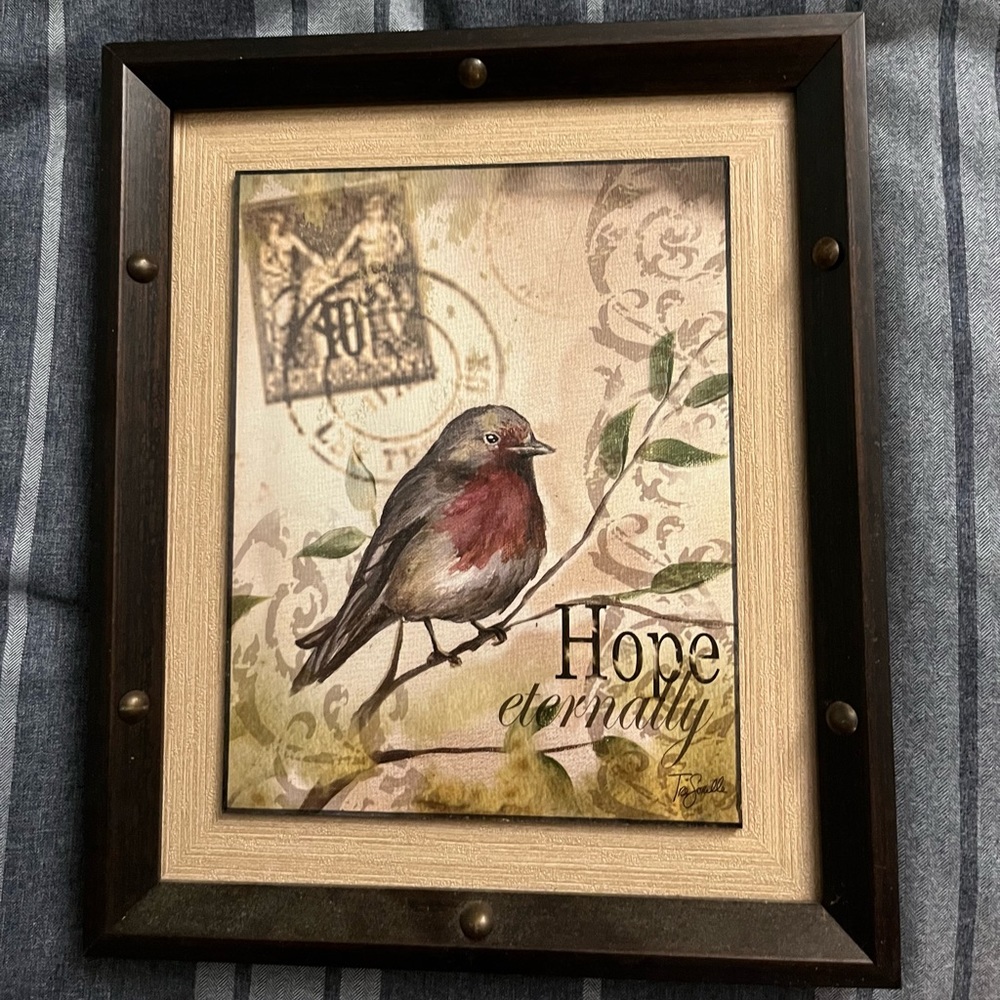 Bird Posters 🐦‍⬛